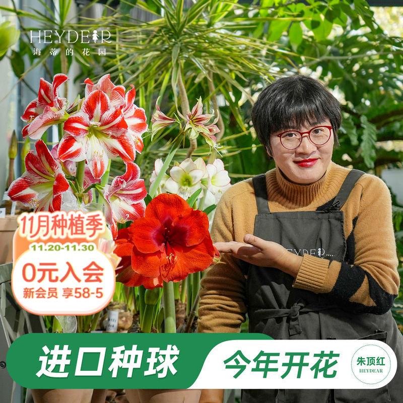 【小红书博主推荐新手种球】