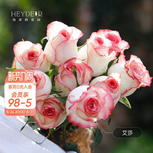海蒂的花园旗舰店新手切花月季盆栽艾莎蓝莓蛋糕切花朱丽叶玫瑰苗
