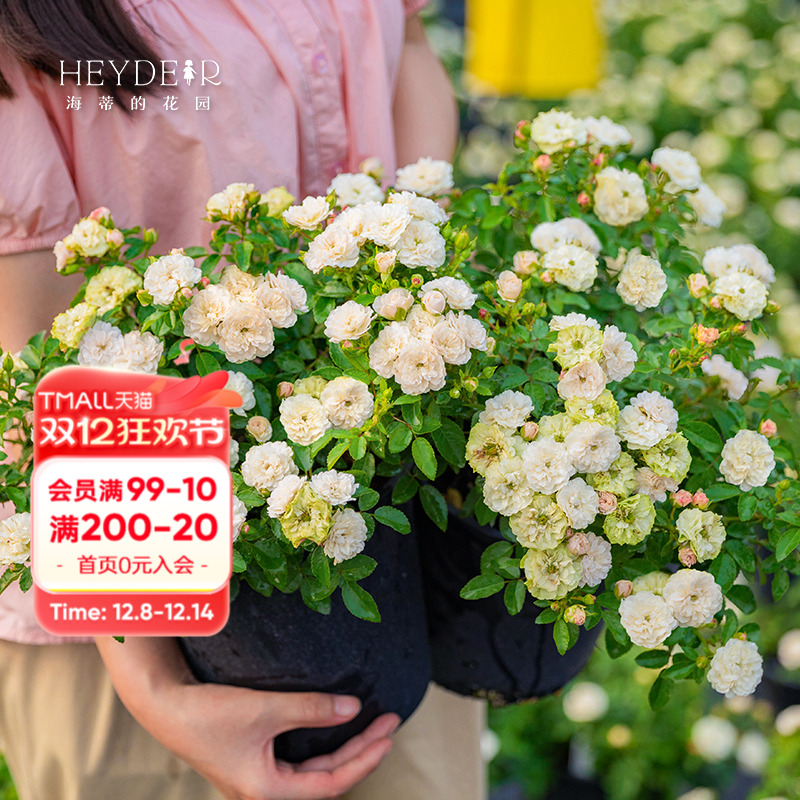 ٵĻ԰̱΢¼Ứ༾̨ͥԺԻ 22.42Ԫ