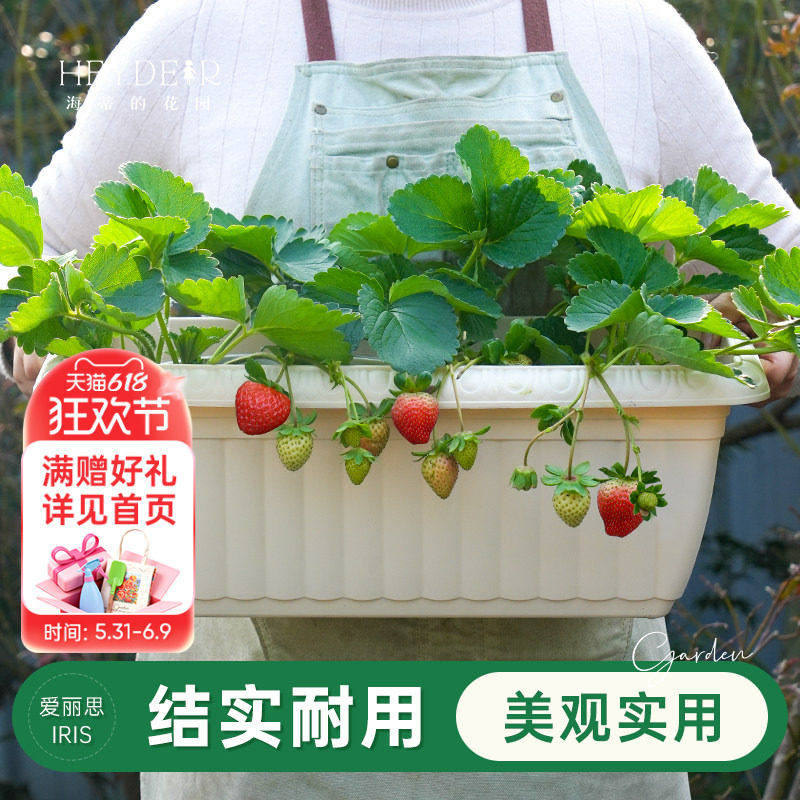 海蒂的花园旗舰店爱丽思长条花纹花盆家用庭院阳台种花种菜专用箱