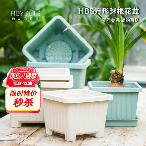 海蒂的花园旗舰店方形球根塑料花盆郁金香种球植物种植盆树脂盆