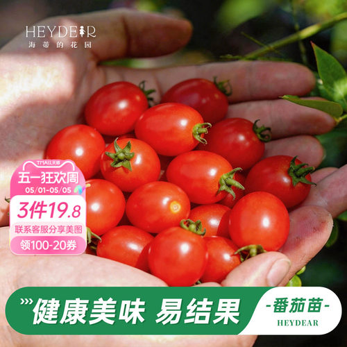 优选盆栽苗包活30天今年结果