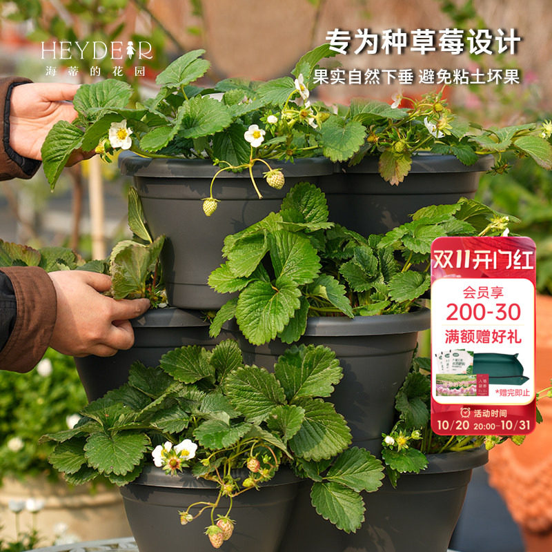 海蒂的花园环球星格尔组合草莓盆创意立体塑料花盆种花种菜种草莓