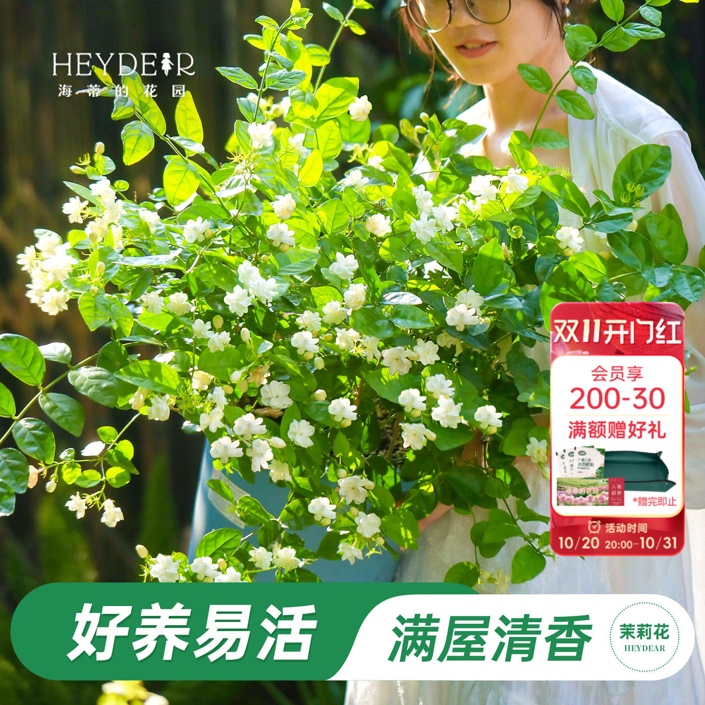 重瓣茉莉花盆栽浓香南北方窗台阳台好养夏季耐热开花植物苗