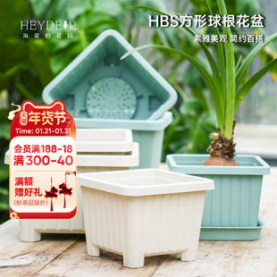 海蒂的花园旗舰店方形球根塑料花盆郁金香种球植物种植盆树脂盆