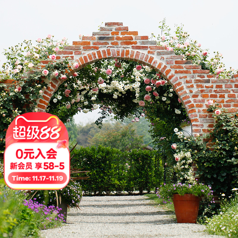 海蒂花园家庭设计植物搭配