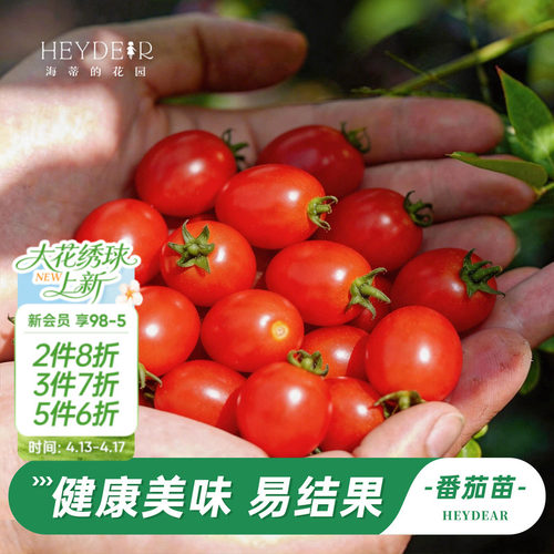 优选盆栽苗包活30天今年结果