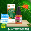 花园旗舰店施奇国光红杀红蜘蛛专用杀虫药花卉植物药剂 海蒂