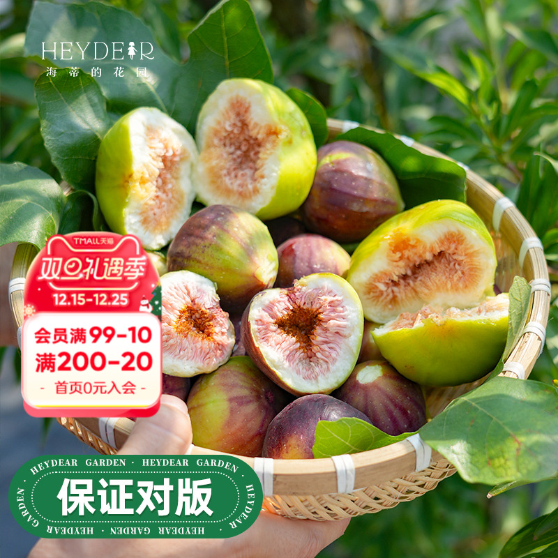 海蒂的花园旗舰店无花果树果苗家庭盆栽果树好养易结果可食用树苗