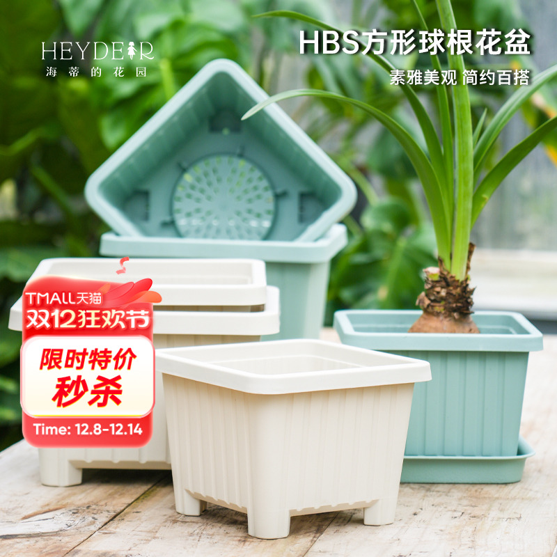 海蒂的花园旗舰店方形球根塑料花盆郁金香种球植物种植盆树脂盆