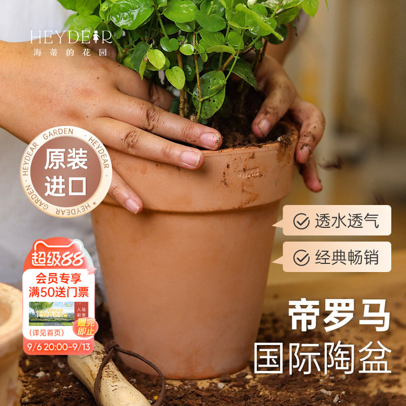海蒂的花园旗舰店帝罗马花盆家用栽种花盆兰花花盆