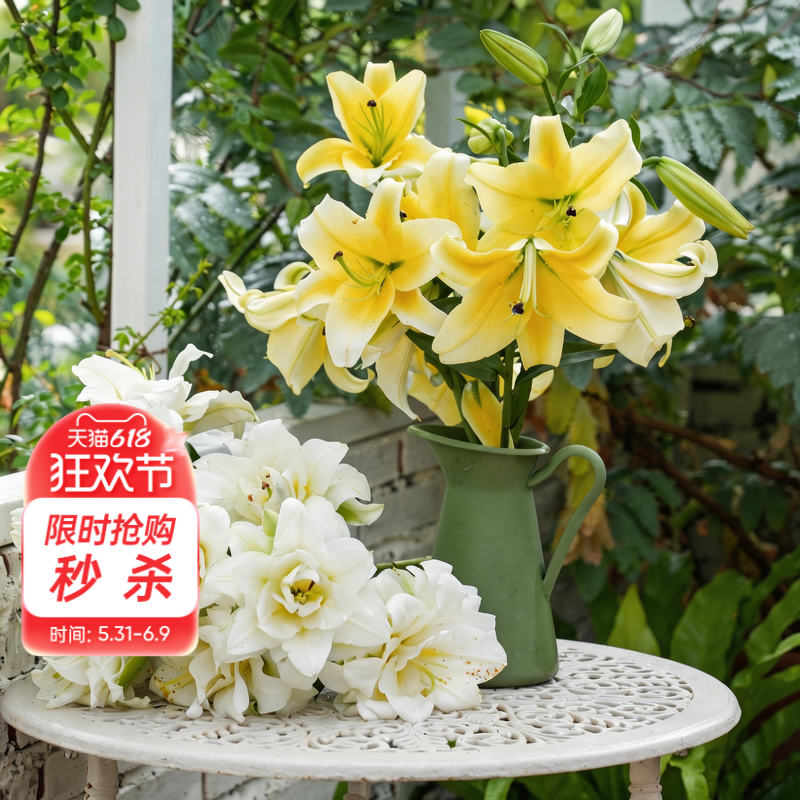 海蒂的花园旗舰店百合种球鲜切花品种全国可种花园阳台花卉球根