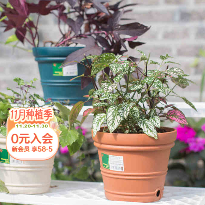 树脂花盆经久耐用适合各种植物