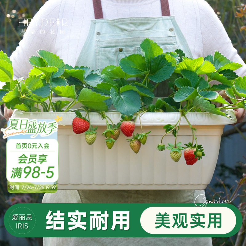 海蒂的花园旗舰店爱丽思长条花纹花盆家用庭院阳台种花种菜专用箱