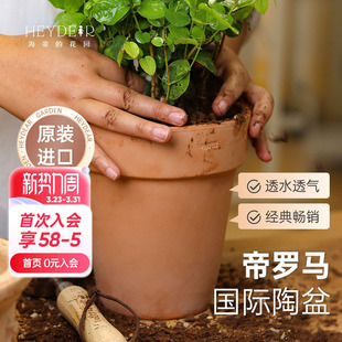 海蒂 花园旗舰店帝罗马花盆家用栽种花盆兰花花盆