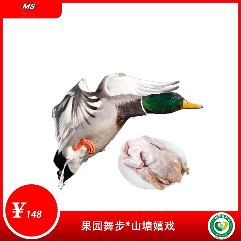 广西上林县明山红果园山塘散养绿头鸭3.8斤左右/只