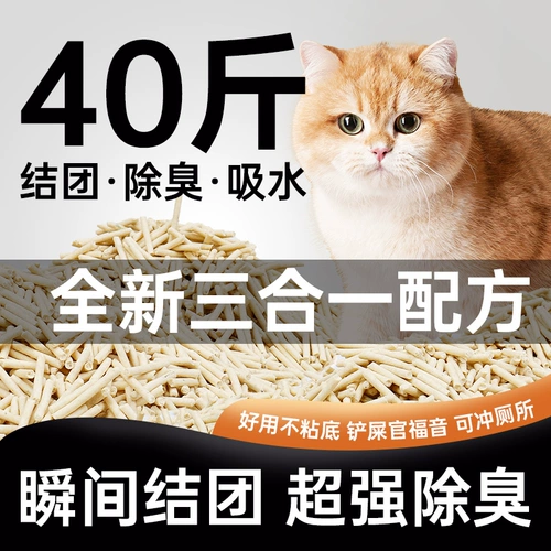 Тофу кошачья песчаная дезодоризирующая пыль без смешанного 40 кот активированного углеродного кошачьего песка Без песка.