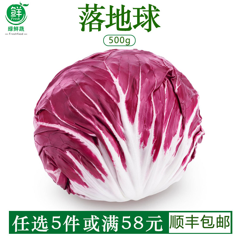 新鲜落地球生菜紫苣红菊苣红卷心菜健身西餐食材沙拉蔬菜500g