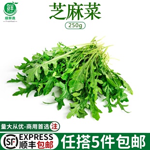 芝麻菜新鲜沙拉蔬菜食材火箭菜轻食色拉生菜即食沙拉芝麻叶500g