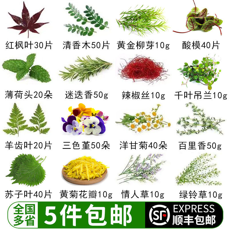 摆盘装饰新鲜花草日料刺身海鲜姿造蛋糕点缀装饰清香木三色堇鲜花