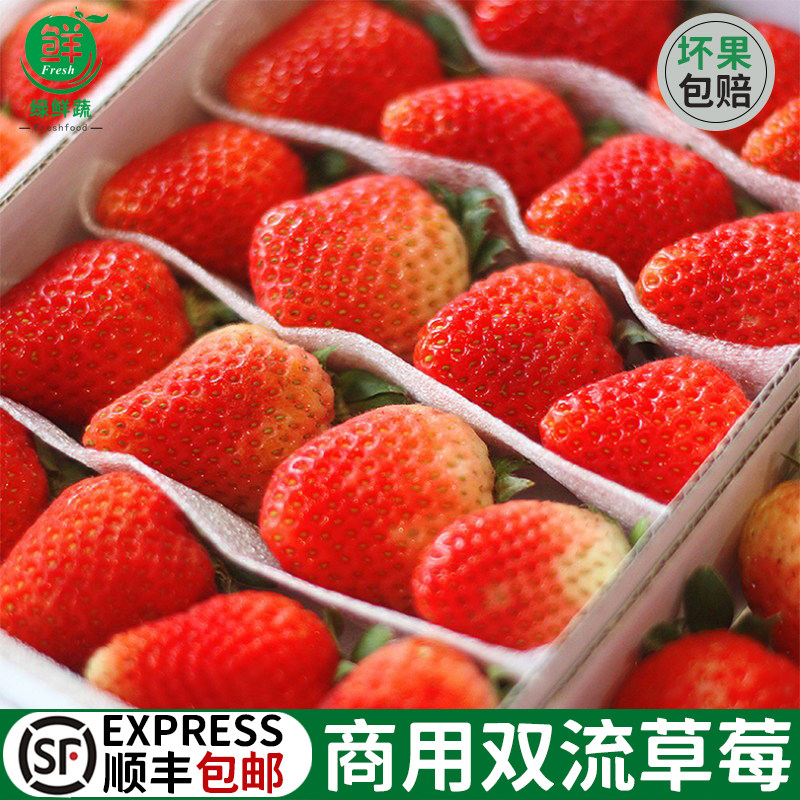 双流冬四季酸草莓新鲜商用水果奶茶烘焙蛋糕饮品糖葫芦专用包邮