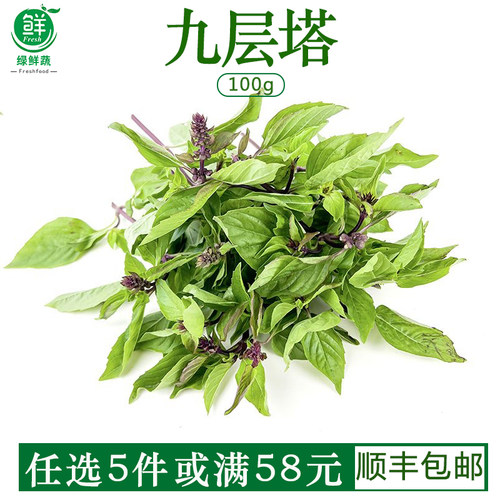 新鲜九层塔食用金不换非罗勒叶和打抛叶冬阴功三杯鸡食材香料