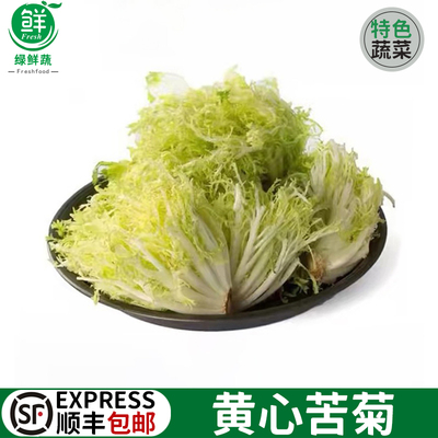 新鲜黄心苦菊苦叶生菜苦苣九芽狗牙生菜500g轻食蔬菜沙拉西餐食材