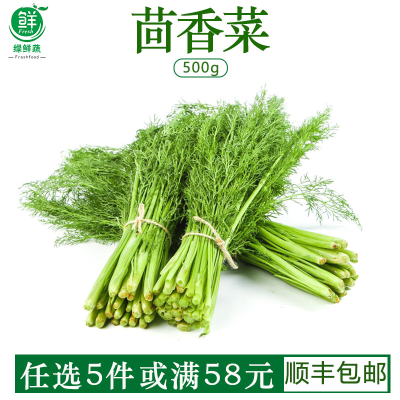 茴香菜新鲜现摘茴香苗带根包饺子馅料农家小茴香菜新鲜蔬菜500g