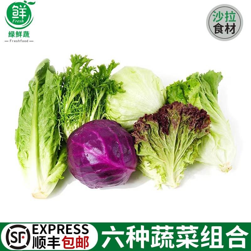 新鲜蔬菜沙拉组合4斤红叶苦菊罗马绿毛球生菜紫包菜混合食材轻食