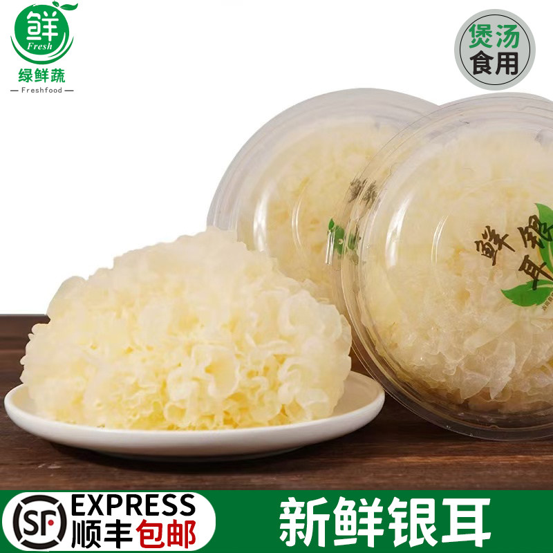 新鲜银耳活鲜白木耳糯丑雪耳非银耳莲子羹煲汤材料1盒活鲜糯耳