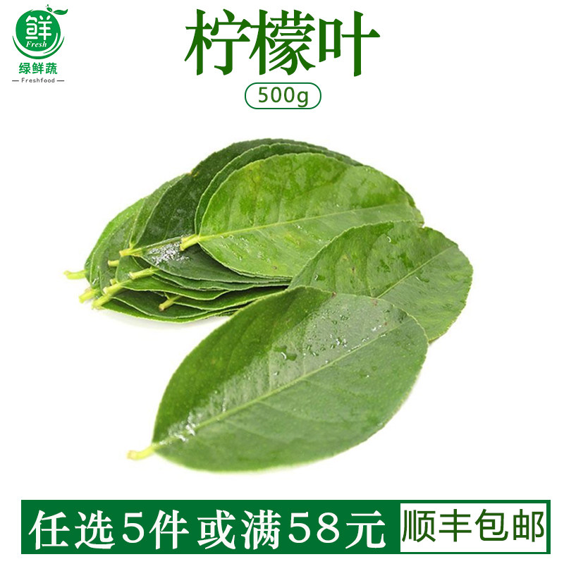 新鲜柠檬叶西餐装饰摆盘泰式冬阴功香料食材鱼生配料青柠叶500g