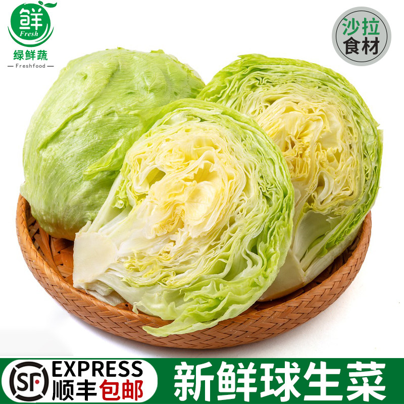 球生菜新鲜圆生菜西生菜凉拌西餐沙拉蔬菜汉堡包生菜5斤产地直销,水产肉类/新鲜蔬果/熟食,其它,淘宝优惠券,粉丝福利购,淘宝优惠卷