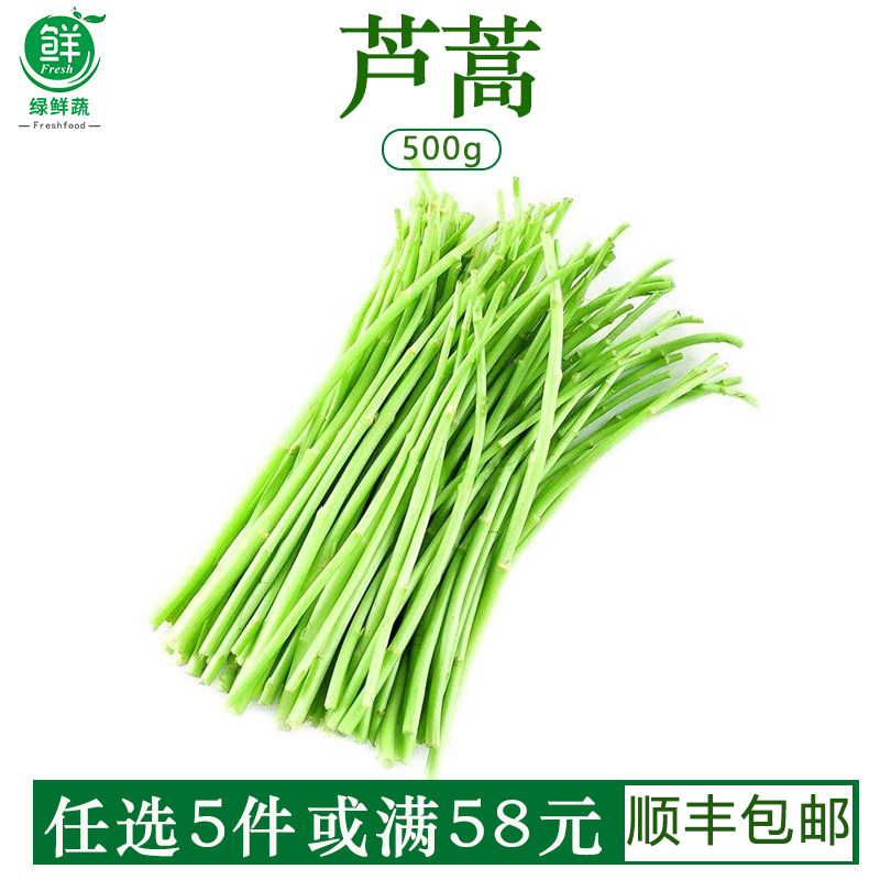 新鲜芦蒿蔬菜农家自种去叶蓠蒿水蒿泥蒿藜蒿西餐沙拉顺丰绿色500g