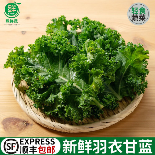 羽衣甘蓝新鲜西餐沙拉蔬菜榨汁烤片kale健身轻食2斤顺丰包邮蔬菜