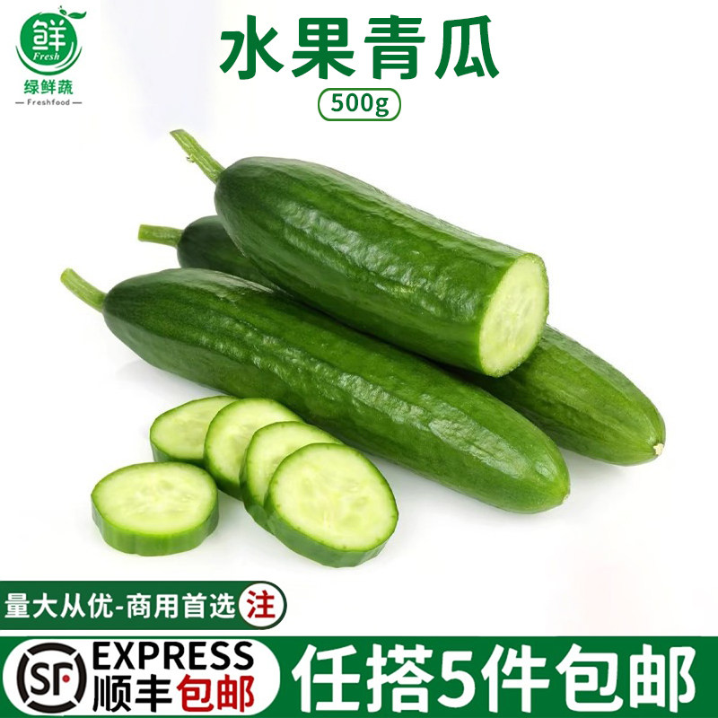 新鲜小青瓜荷兰水果青瓜小黄瓜无刺青瓜西餐食材即食凉拌沙拉蔬菜