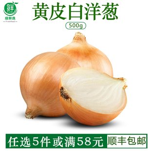新鲜白洋葱黄皮白肉洋葱农家圆葱西餐披萨沙拉新鲜蔬菜食材调味