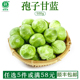 孢子甘蓝新鲜蔬菜西餐沙拉食材迷你小包菜卷心菜250g抱子甘蓝