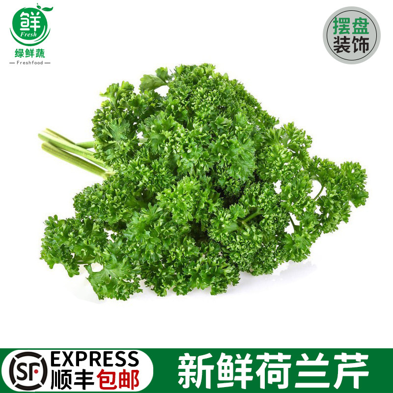 新鲜番西法国香芹荷兰欧芹西洋芹蔬菜西餐厅摆盘装饰用品顺丰包邮