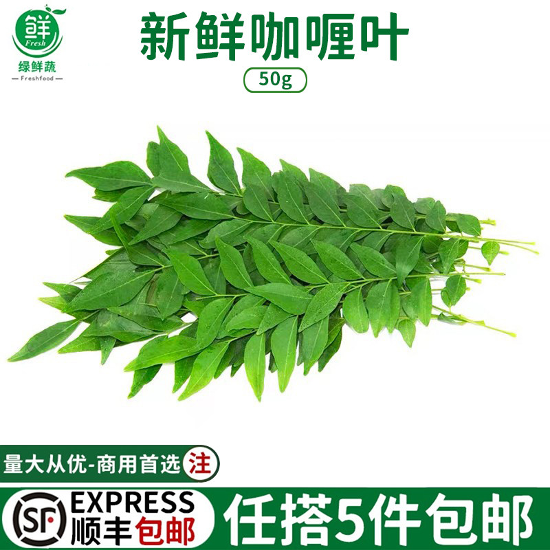 咖喱叶新鲜西餐饮香料菜调味调料蔬菜九里香咖哩叶鱼虾炒饭增香