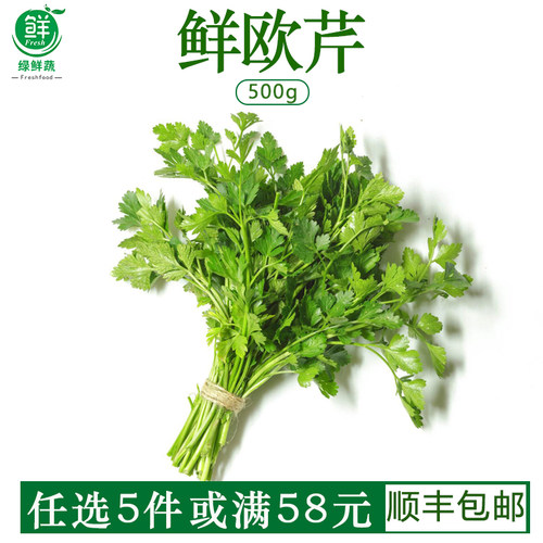 欧芹新鲜意大利平叶番西香料菜新鲜蔬菜调味料西餐厅香芹250g