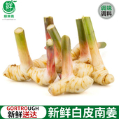 泰式 火锅底料冬阴功食材香料 品种白皮南姜新鲜高良姜调味调料泰式