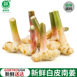 泰式 火锅底料冬阴功食材香料 品种白皮南姜新鲜高良姜调味调料泰式