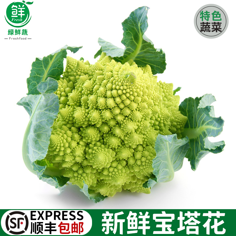 宝塔花菜新鲜蔬菜罗马花椰菜西餐酒楼饭店特色食材西蓝花菜带叶子
