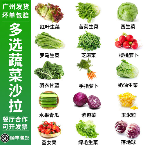 蔬菜沙拉轻食食材多选混合装红叶球生菜罗马芝麻菜苦菊羽衣甘蓝