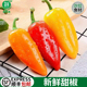 甜椒新鲜蔬菜水果椒250g迷你小辣椒红黄彩椒小彩椒沙拉西餐食材