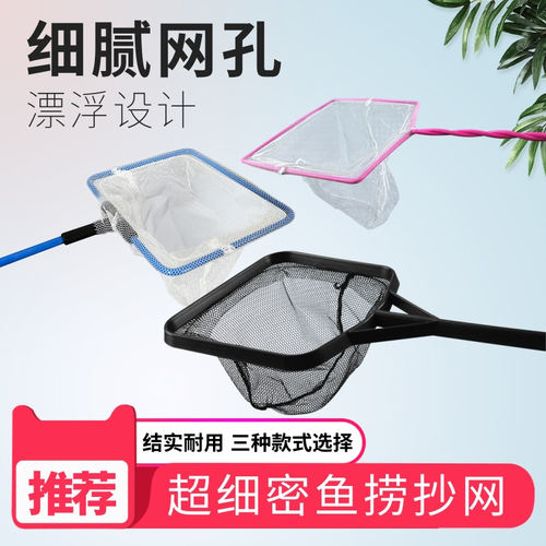 金鱼网价格 金鱼网图片 星期三