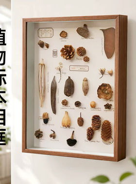 森林植物标本相框干松果树叶标本收藏框家居装饰画框中空3cm可diy