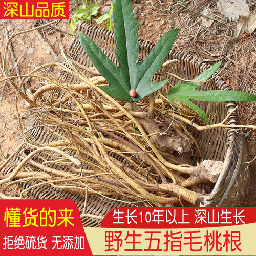 广东五指毛桃农家散装土茯苓煲汤