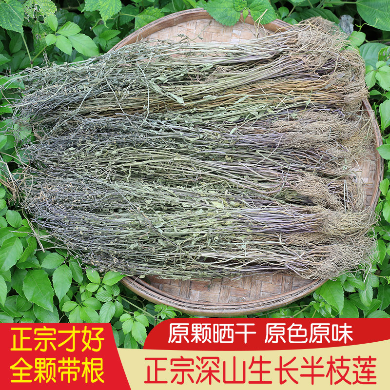 深山半枝莲另售白花蛇舌草新货