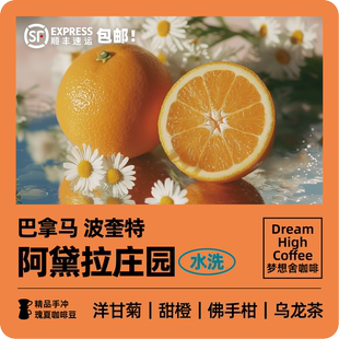 梦想舍波奎特阿黛拉水洗瑰夏手冲精品咖啡豆新鲜烘焙巴拿马120g
